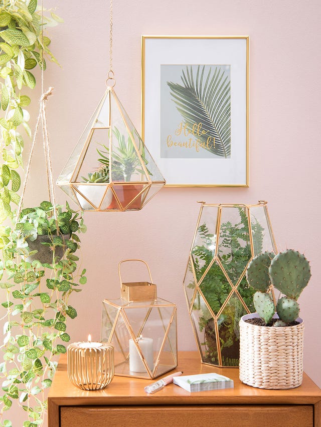 cómo crear un pequeño terrario o invernadero diy con un bote de cristal de ikea