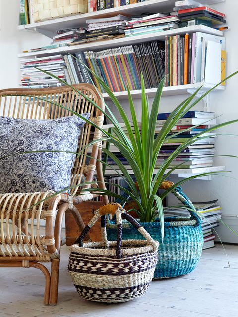 Interior design, Wicker, Basket, Publication, Book, Flowerpot, Creative arts, Vase, Houseplant, Shelving, 