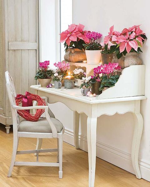 Petal, Room, Flower, Furniture, Interior design, Floor, Flowerpot, Door, Pink, Table, 