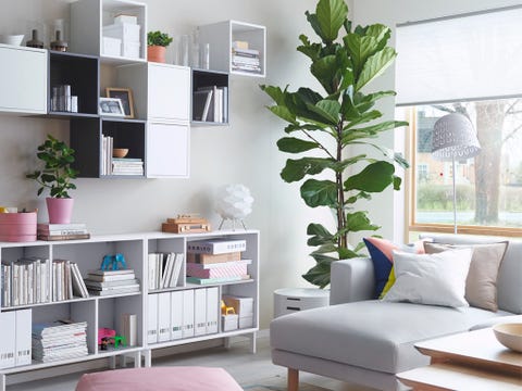 Room, Interior design, Green, Shelf, Wall, Shelving, Home, Furniture, Living room, Interior design, 