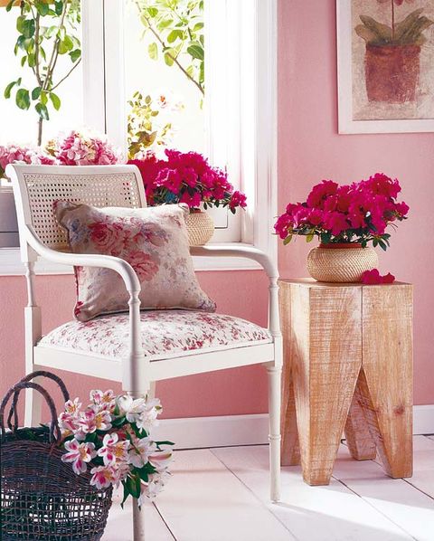 Petal, Flower, Pink, Interior design, Purple, Magenta, Flowerpot, Flower Arranging, Floral design, Vase, 