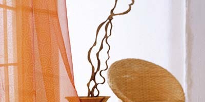 Yellow, Orange, Amber, Tan, Peach, Still life photography, Window treatment, Curtain, Rope, Wicker, Yellow, Orange, Amber, Tan, Peach, Still life photography, Window treatment, Curtain, Rope, Wicker,