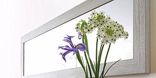 Petal, Flower, Room, Serveware, Bouquet, Interior design, Artifact, Vase, Cut flowers, Flowering plant, Petal, Flower, Room, Serveware, Bouquet, Interior design, Artifact, Vase, Cut flowers, Flowering plant,