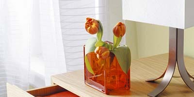 Wood, Petal, Flower, Orange, Amber, Artifact, Cut flowers, Flowering plant, Wood stain, Vase, Wood, Petal, Flower, Orange, Amber, Artifact, Cut flowers, Flowering plant, Wood stain, Vase,