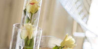 Yellow, Glass, Petal, Flower, Botany, Flowering plant, Serveware, Artifact, Dishware, Flower Arranging, Yellow, Glass, Petal, Flower, Botany, Flowering plant, Serveware, Artifact, Dishware, Flower Arranging,