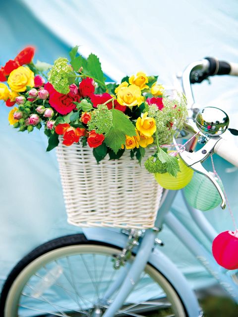 Bicycle tire, Bicycle wheel rim, Bicycle wheel, Bicycle accessory, Bicycle basket, Bicycle, Flower, Bicycle part, Petal, Bicycle handlebar, 