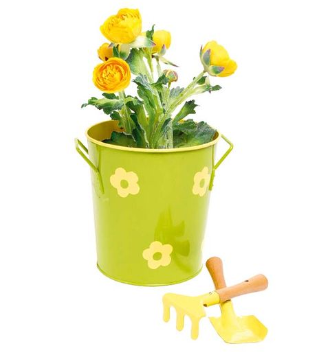 Yellow, Flower, Petal, Flowerpot, Flowering plant, Paint, Vase, Plant stem, Cut flowers, Herbaceous plant, 