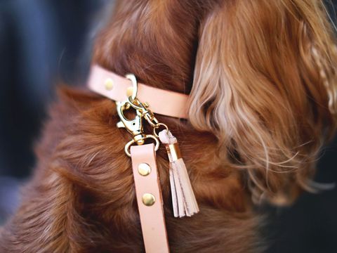 Brown, Fashion accessory, Hair accessory, Natural material, Liver, Tan, Feather, Long hair, Pet supply, Jewellery, 