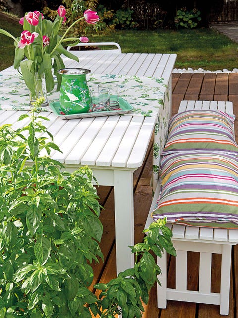 Wood, Plant, Petal, Outdoor furniture, Outdoor table, Hardwood, Garden, Backyard, Wood stain, Shrub, Wood, Plant, Petal, Outdoor furniture, Outdoor table, Hardwood, Garden, Backyard, Wood stain, Shrub,