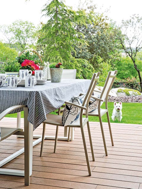 Furniture, Table, Chair, Outdoor furniture, Outdoor table, Folding chair, Botany, Leisure, Tree, Textile, Furniture, Table, Chair, Outdoor furniture, Outdoor table, Folding chair, Botany, Leisure, Tree, Textile,