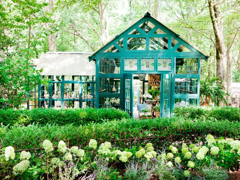 House, Green, Property, Home, Building, Natural landscape, Cottage, Botany, Garden, Plant, 
