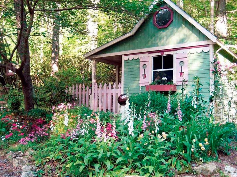 Wood, Plant, Shrub, Garden, Flower, House, Woody plant, Land lot, Rural area, Groundcover, 