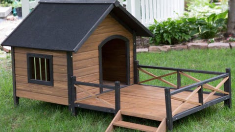 Kennel, House, Doghouse, Building, Shed, Outdoor play equipment, Roof, Backyard, Chicken coop, Cottage, 