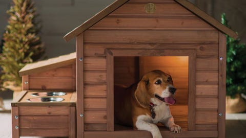 Dog, Canidae, Kennel, Doghouse, Dog supply, Dog breed, Beagle, American foxhound, Treeing walker coonhound, Carnivore, 