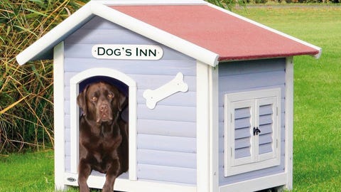 Kennel, Doghouse, Shed, Dog supply, Grass, Sporting Group, House, Canidae, Outdoor structure, Building, 