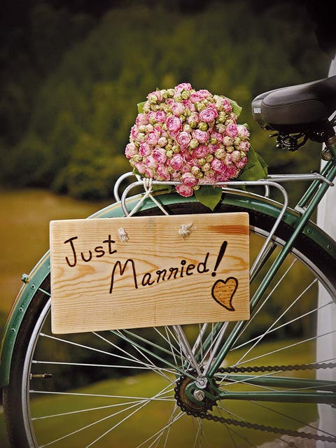 Bicycle tire, Wheel, Bicycle wheel rim, Bicycle accessory, Bicycle part, Flower, Petal, Bicycle, Bicycle wheel, Rim, 