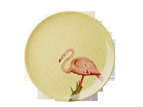 Bird, Beak, Beige, Terrestrial animal, Painting, Illustration, Drawing, Peach, Graphics, 