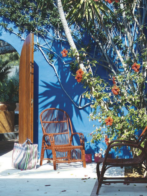 Blue, Branch, Woody plant, Art, Majorelle blue, Fruit tree, Street furniture, Outdoor furniture, 
