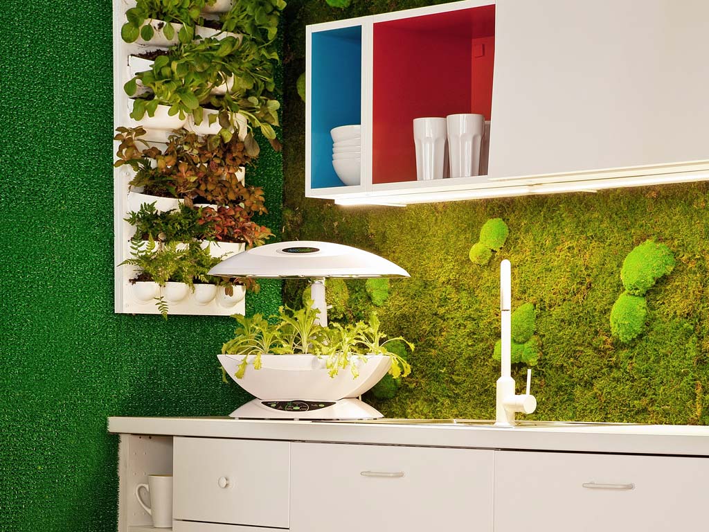 mantenimiento para un jardin vertical
