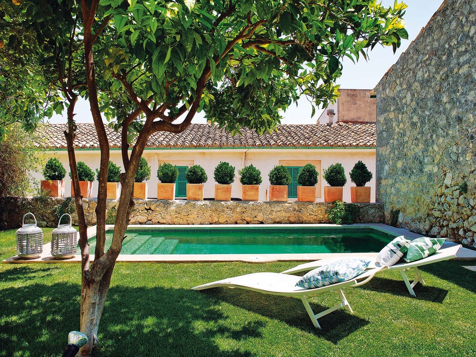 Garden, Outdoor furniture, Lawn, Yard, Backyard, Shade, Park, Courtyard, Landscaping, Hacienda, 