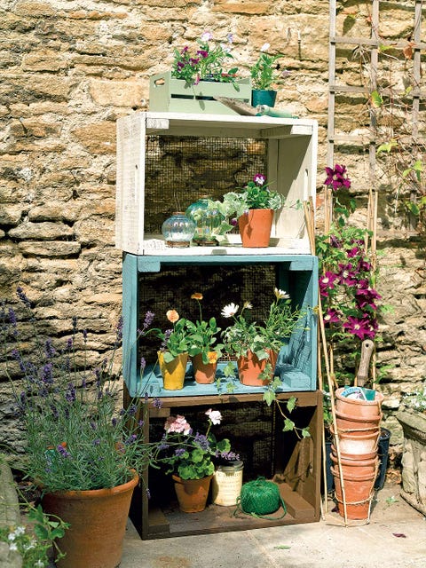 Flowerpot, Plant, Flower, Fixture, Interior design, Houseplant, Shrub, Garden, Stone wall, Annual plant, 