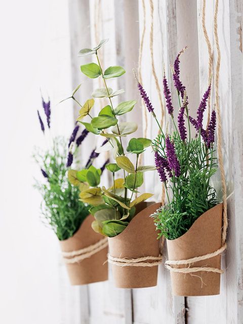 Flowerpot, Plant, Flower, Purple, Lavender, Botany, Interior design, Flowering plant, Plant stem, Violet, 
