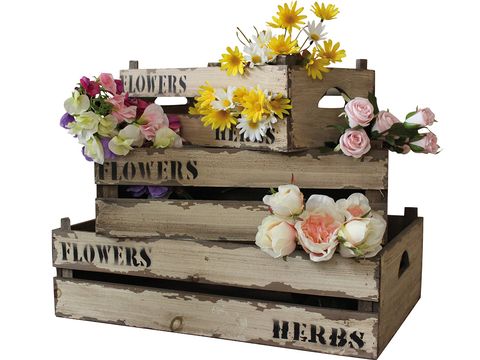 Petal, Flower, Bouquet, Cut flowers, Flower Arranging, Floristry, Floral design, Beige, Rectangle, Artificial flower, 