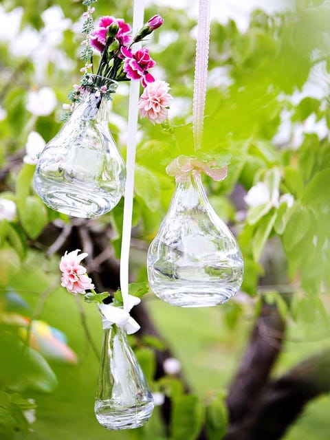 Glass, Liquid, Transparent material, Artificial flower, Barware, Silver, Plant stem, Transparency, Annual plant, Drop, 