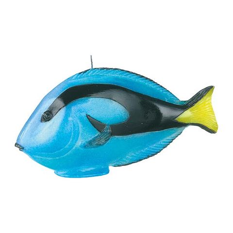 Fin, Fish, Azure, Marine mammal, Marine biology, Aqua, Paint, Art paint, Illustration, Ray-finned fish, 