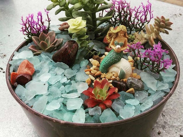 Flowerpot, Flower, Cactus, Plant, Succulent plant, Echeveria, Houseplant, Cyclamen, Herbaceous plant, Aquatic plant, 