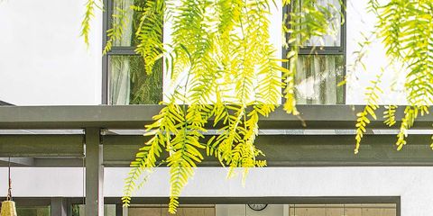Yellow, Room, Table, Interior design, Porch, Building, Furniture, Home, Restaurant, House, 