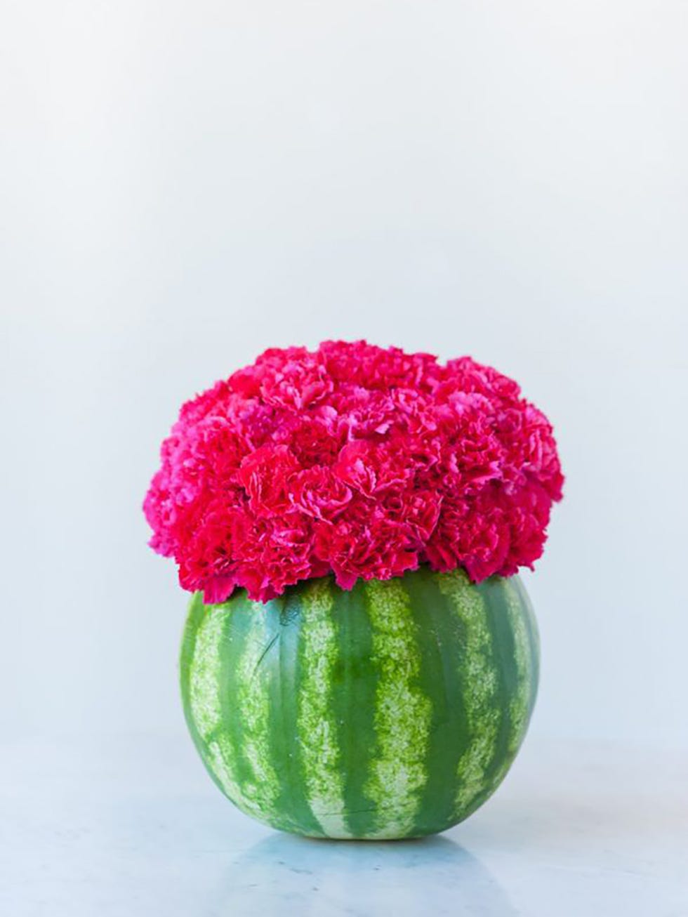 Pink, Green, Plant, Watermelon, Melon, Flower, Floral design, Vase, Magenta, Flowering plant, 