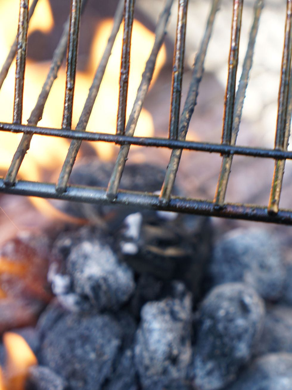 Iron, Chain-link fencing, Metal, Zoo, Steel, Mesh, 