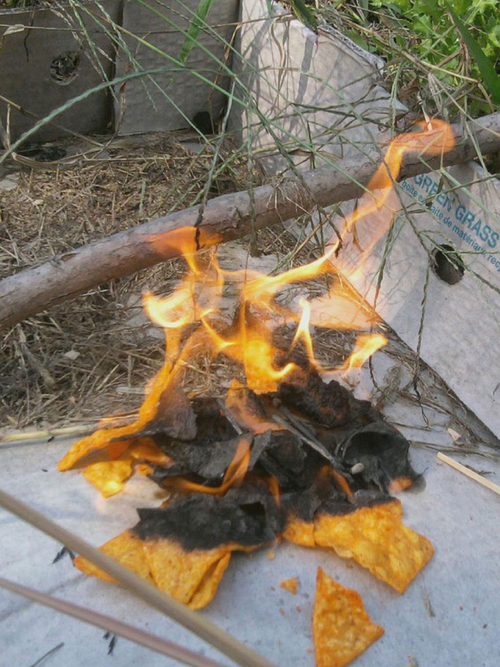 Fire, Leaf, Flame, Campfire, Heat, Bonfire, Plant, 