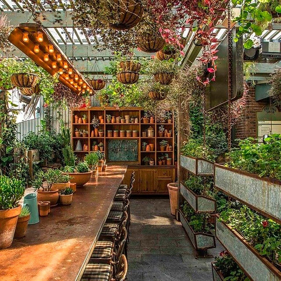 Garden, Building, Botany, Backyard, House, Botanical garden, Real estate, Architecture, Yard, Plant, 