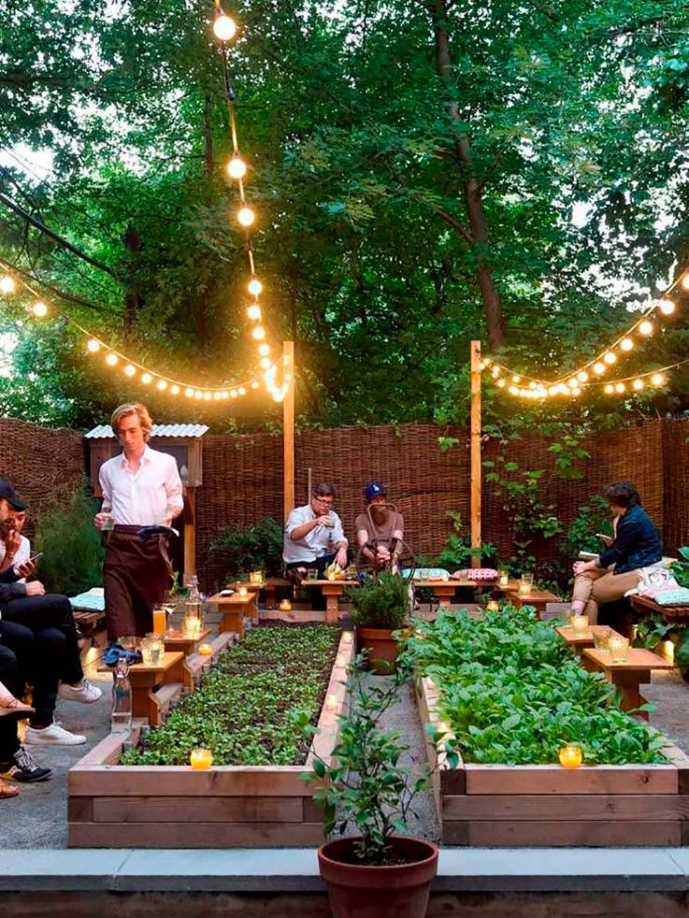 Garden, Tree, Backyard, Houseplant, Plant, Leisure, Landscaping, Yard, Patio, 