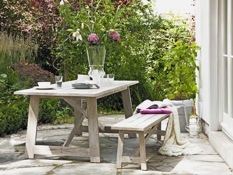 Plant, Table, Furniture, Outdoor furniture, Petal, Outdoor table, Door, Coffee table, Garden, Shrub, 