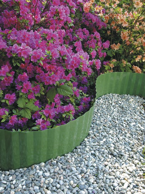 Shrub, Flower, Petal, Magenta, Pink, Leaf, Garden, Pebble, Woody plant, Groundcover, 