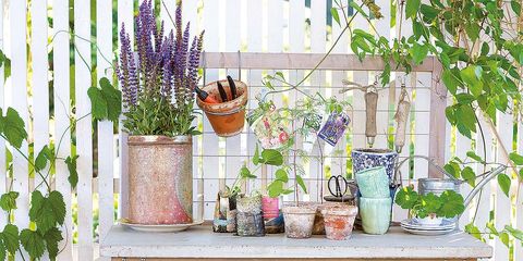 Flowerpot, Shelf, Flower, Houseplant, Room, Plant, Window, Wall, Home, Cut flowers, 