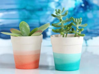 macetas bonitas ideas para personalizarlas