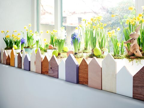 Yellow, Flower, Purple, Lavender, Flowering plant, Flower Arranging, Interior design, Floral design, Plant stem, Vase, 
