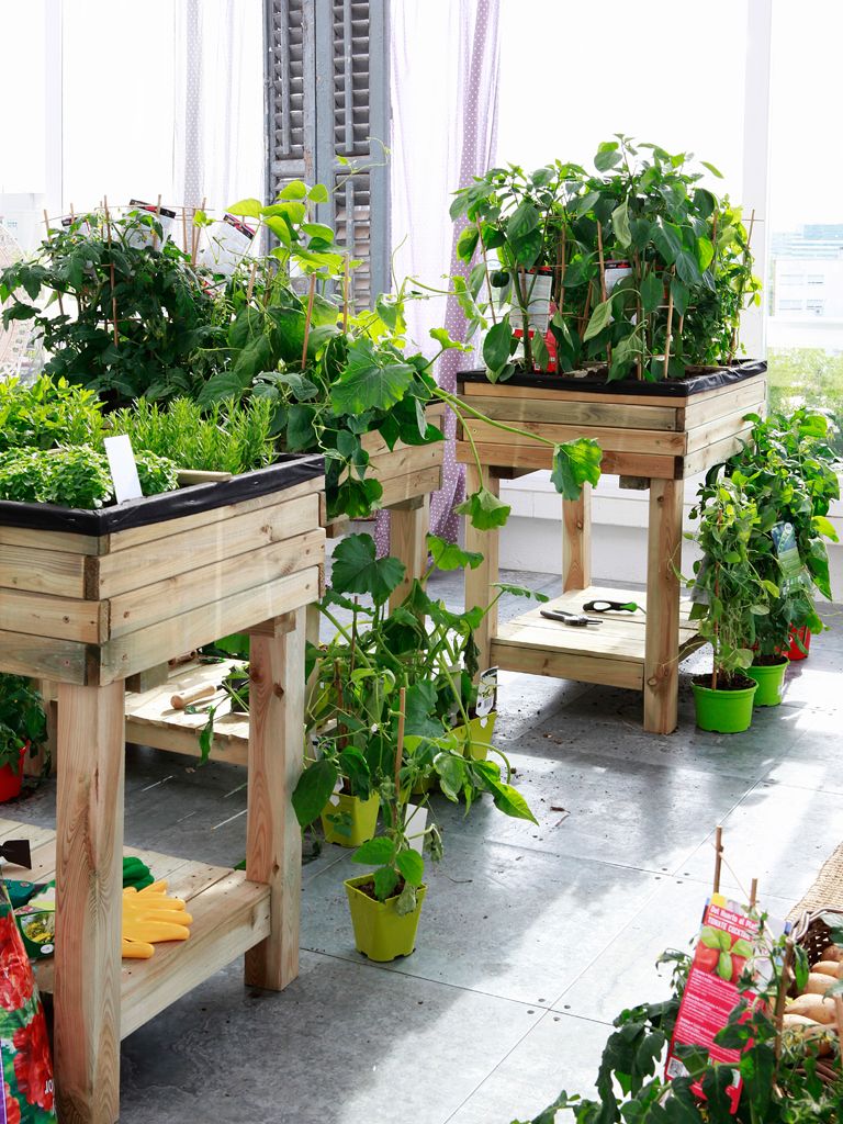 Consejos para montar un minihuerto urbano en tu terraza: ideas para  cultivar en la ciudad y