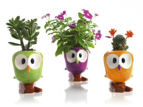 Purple, Toy, Flowerpot, Violet, Shrub, Fictional character, Plant stem, Artificial flower, Annual plant, Action figure, 