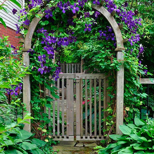 Arch, Green, Architecture, Flower, Plant, Purple, Botany, Gate, Spring, Garden, 