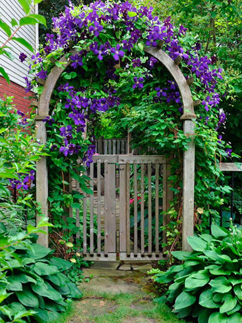 Arch, Flower, Architecture, Green, Plant, Purple, Botany, Garden, Tree, Gate, 
