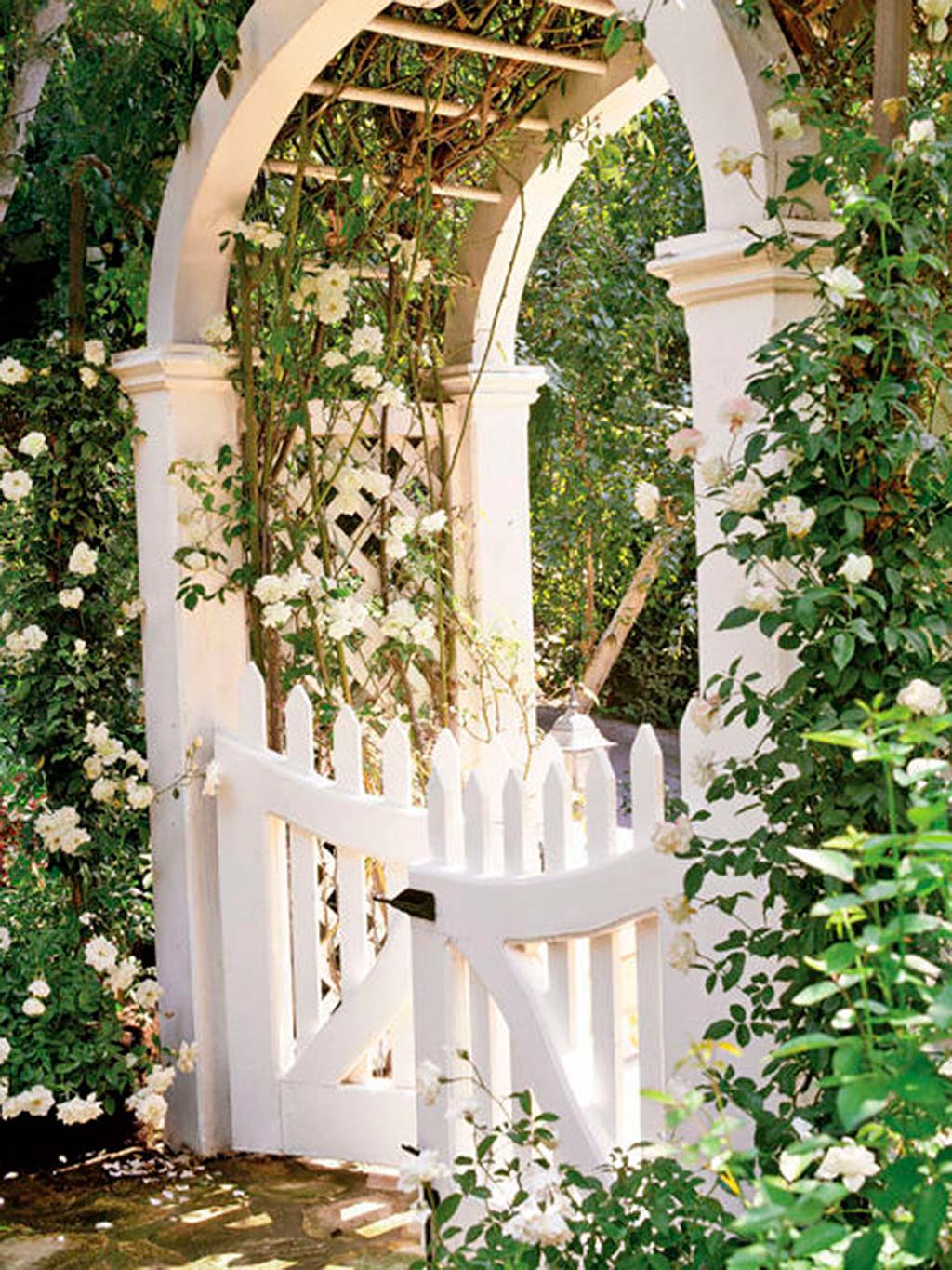 Arch, Architecture, Plant, Gate, Flower, Building, Shrub, 
