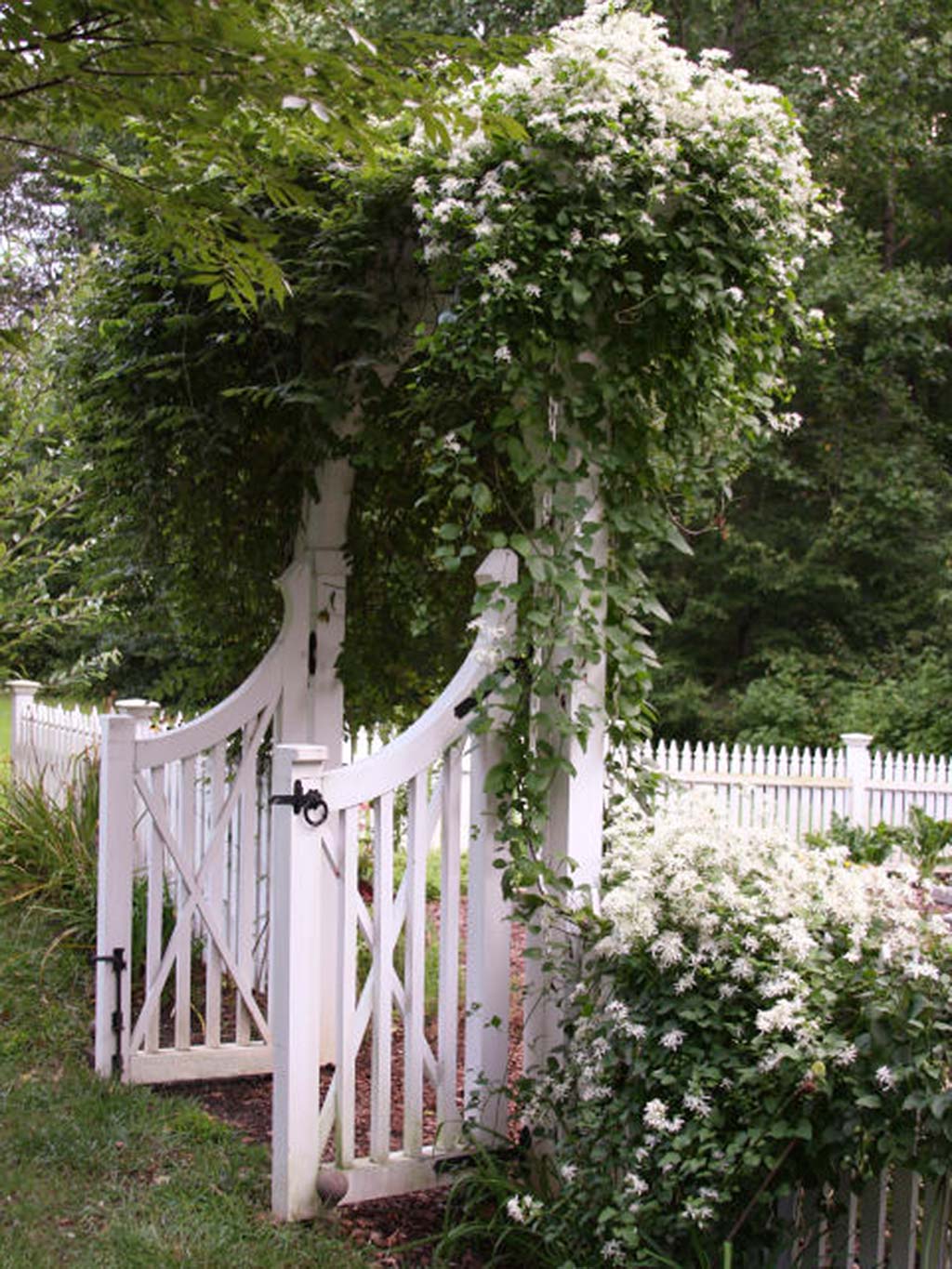 Tree, Plant, Botany, Flower, Spring, Fence, Shrub, Woody plant, Garden, Architecture, 