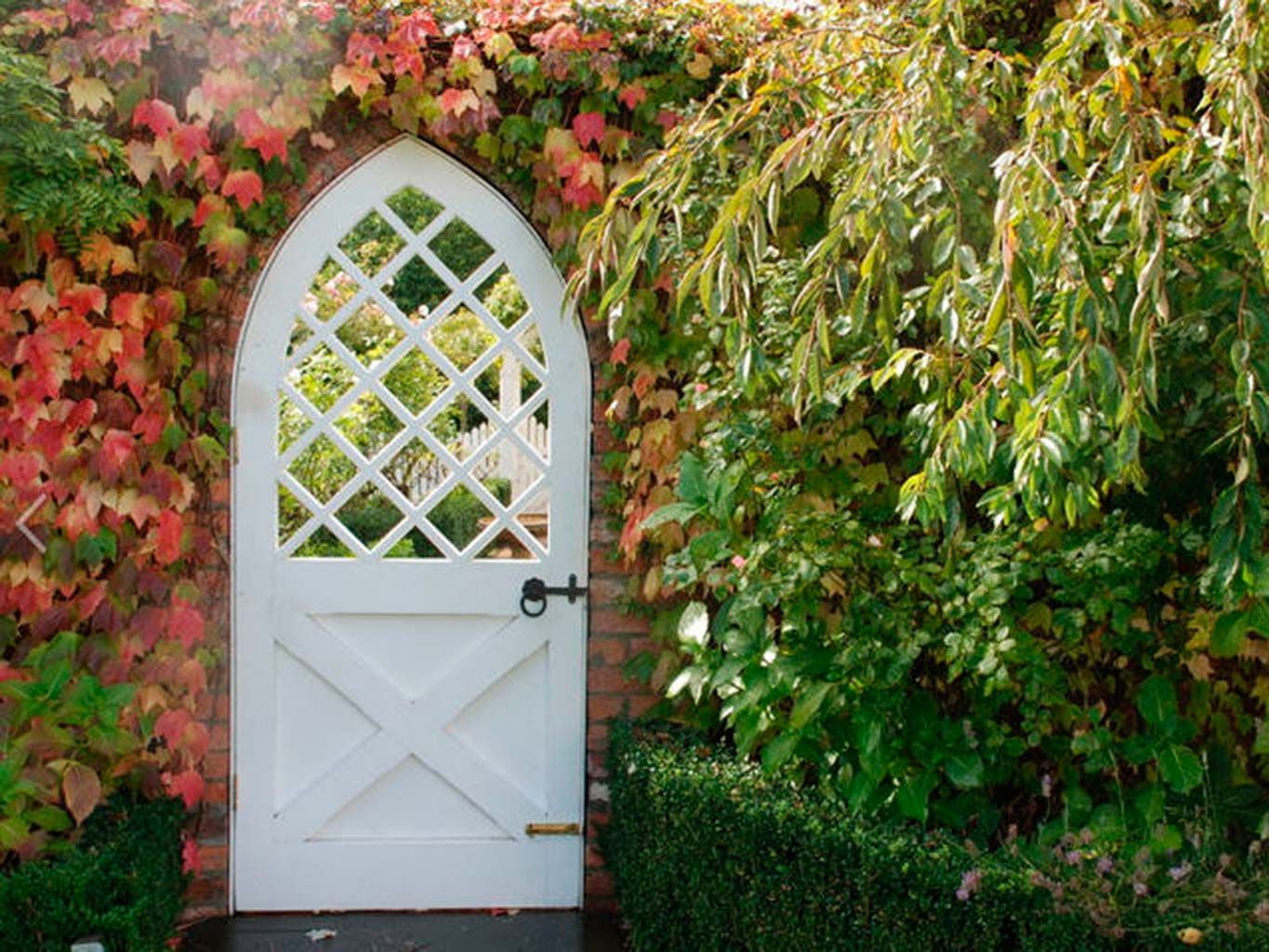Arch, Green, Leaf, Architecture, Door, Grass, Botany, Garden, Shrub, Plant, 