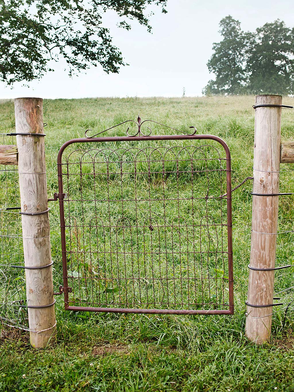 Wire fencing, Fence, Grass, Iron, Land lot, Pasture, Grass family, Tree, Rural area, Gate, 