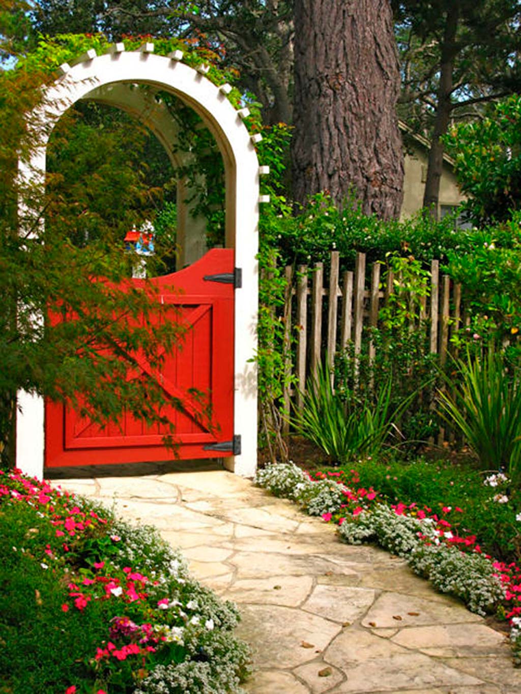 Plant, Shrub, Garden, Flower, Petal, Door, Arch, Groundcover, Landscaping, Trunk, 